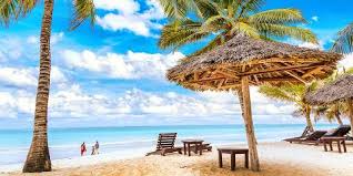 Beautiful beach with palm trees and turquoise water